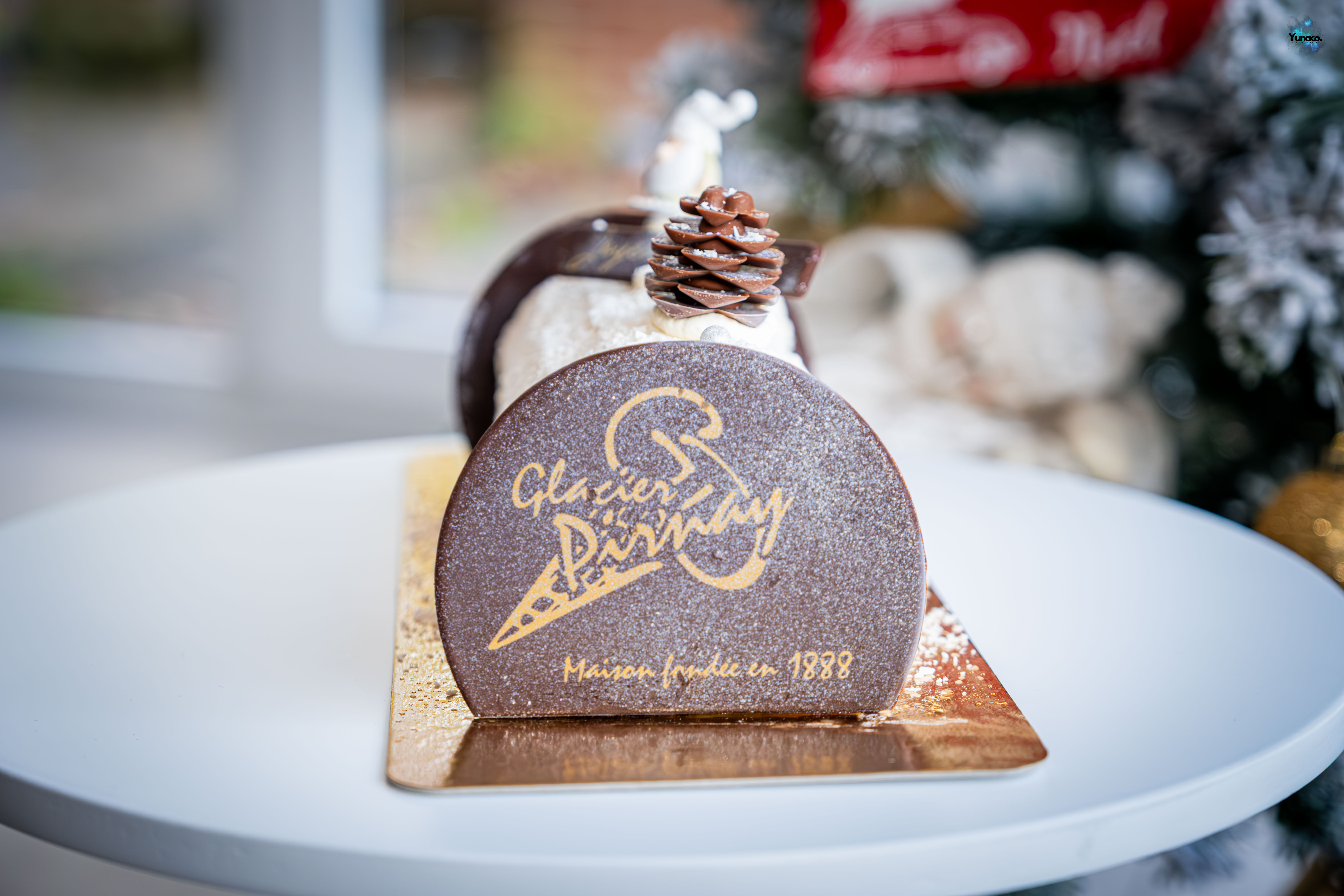 Bûche de Noël Pirnay DSCF2449