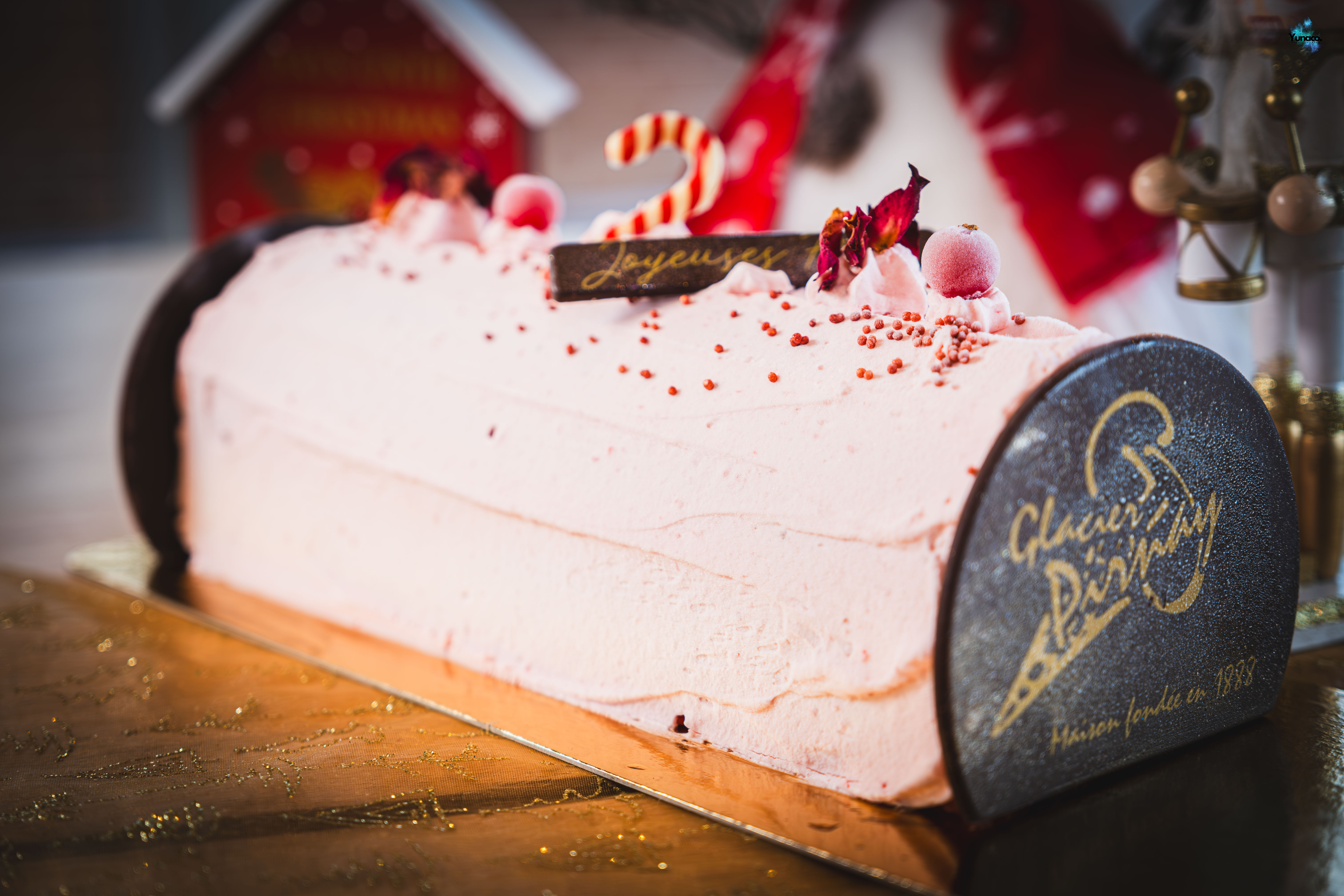 Bûche de Noël Pirnay DSCF2515