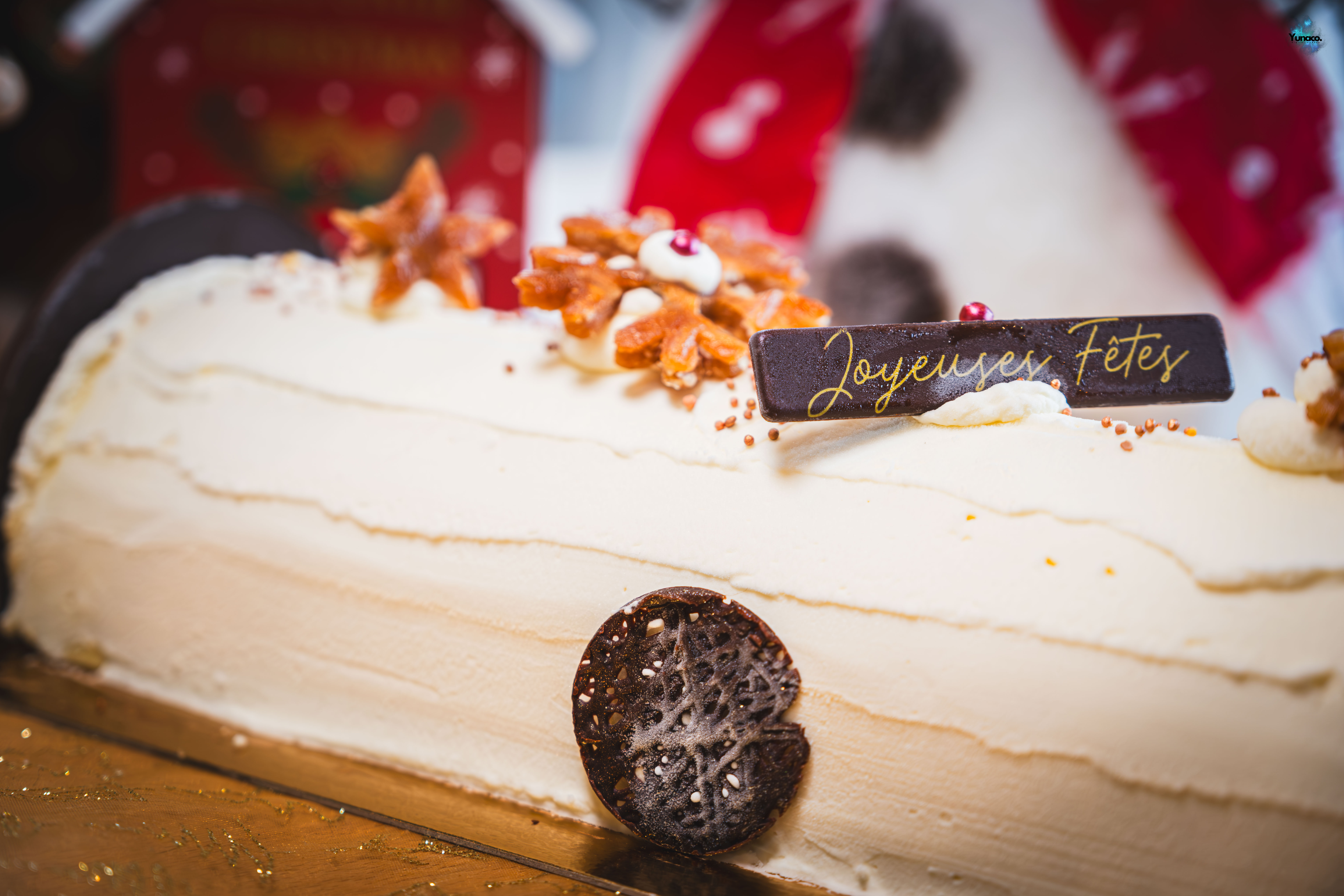 Bûche de Noël Pirnay DSCF2542