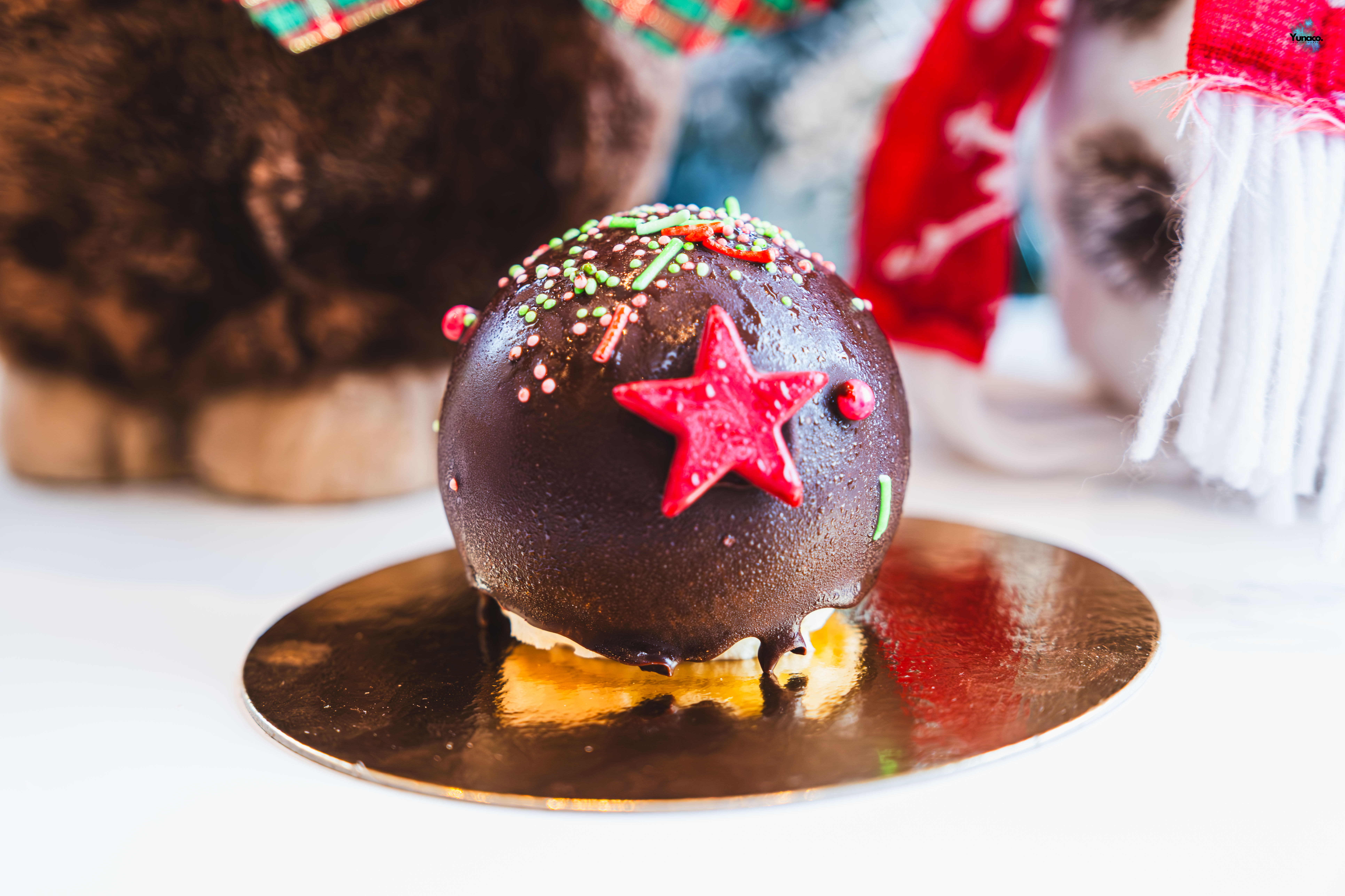 Bûche de Noël Pirnay DSCF2561