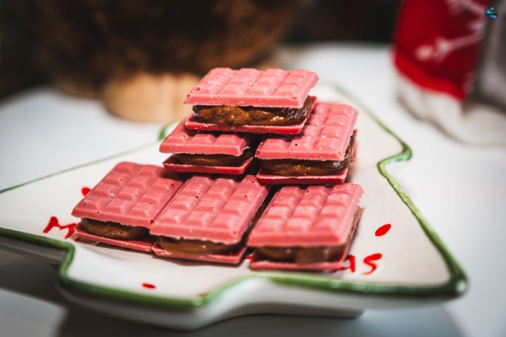 Bûche de Noël Pirnay DSCF2597