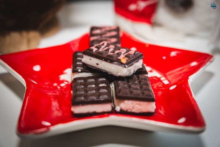 Bûche de Noël Pirnay DSCF2620